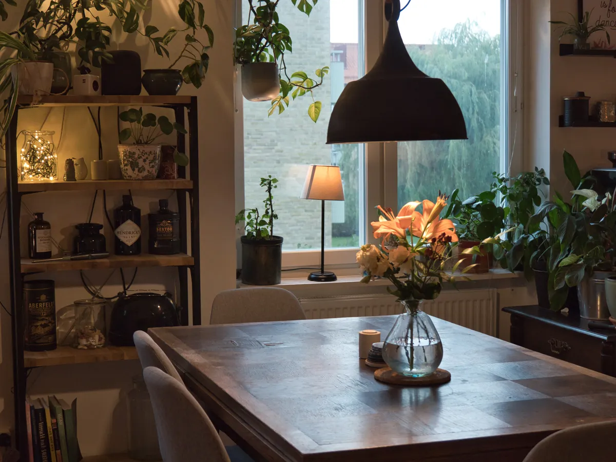 Hyreslägenhet på Malmö i malmo