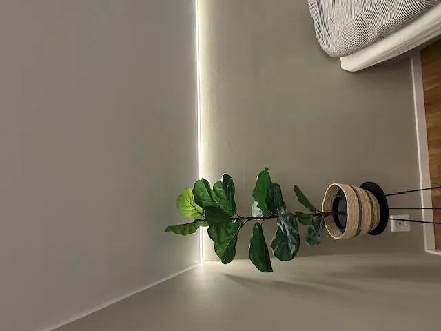 Hyreslägenhet på Halmstad i halmstad