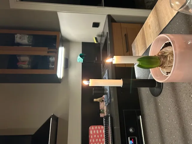 Hyreslägenhet på Halmstad i halmstad