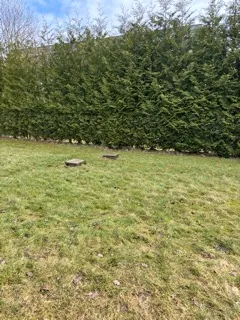 Hyreslägenhet på Göteborg i goteborg