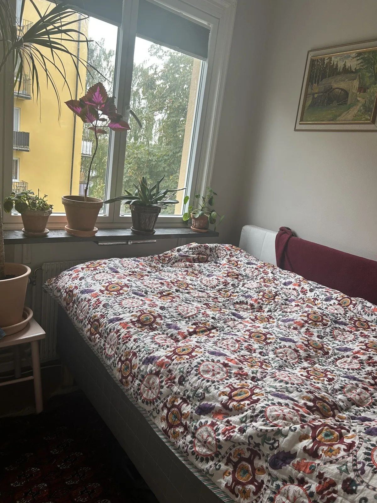 Hyreslägenhet på Solna i solna