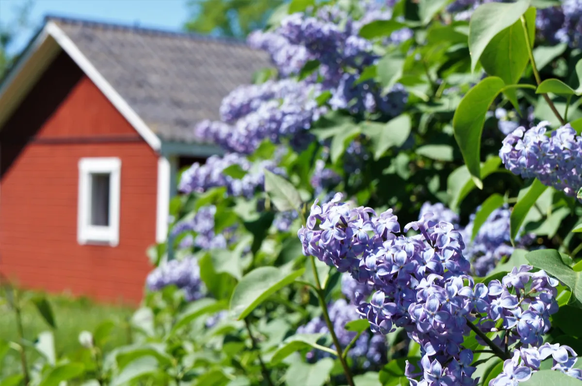 Hyresbostad på Mörbylånga i morbylanga