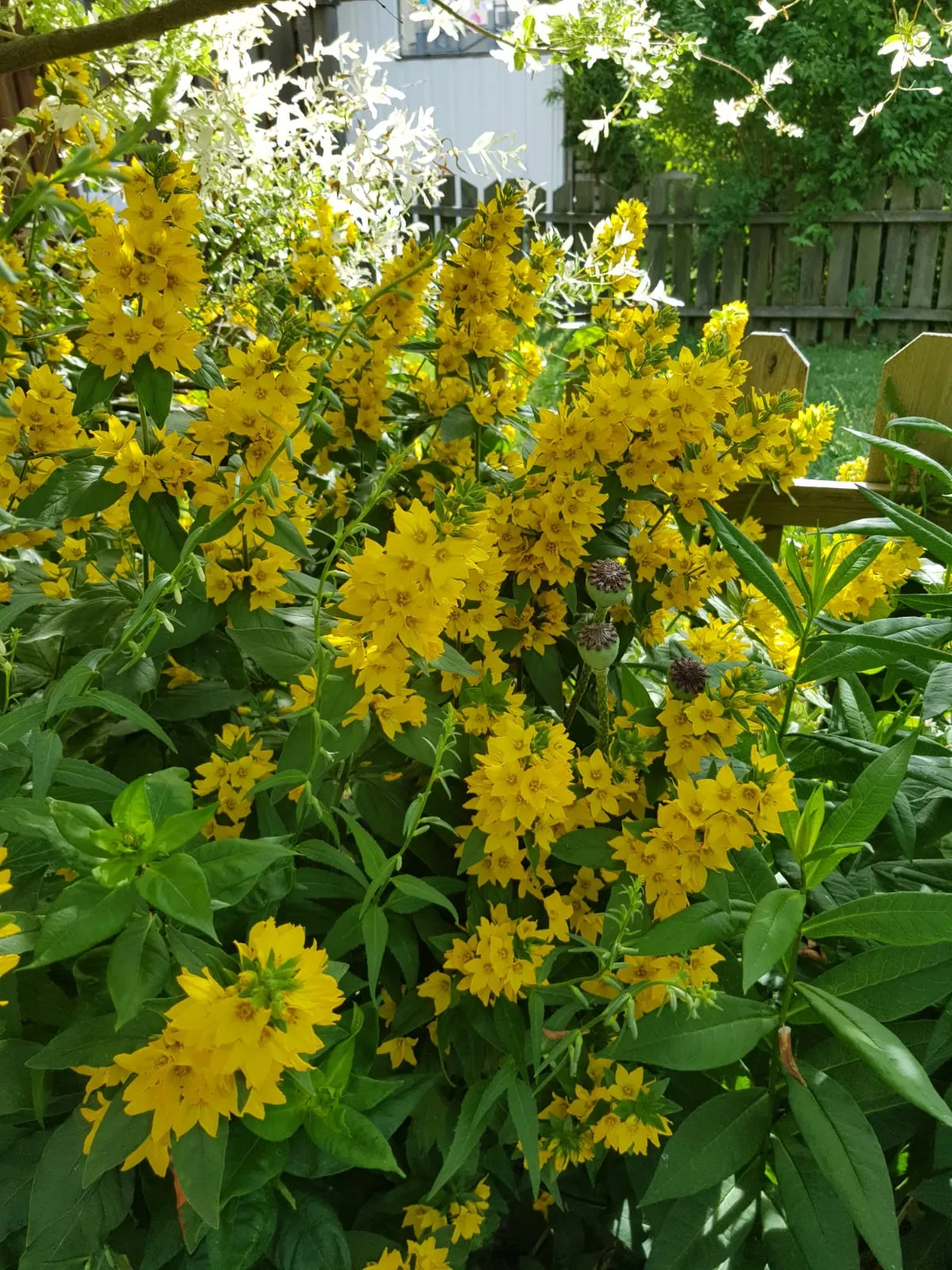 Hyresbostad på Vällingby i vallingby