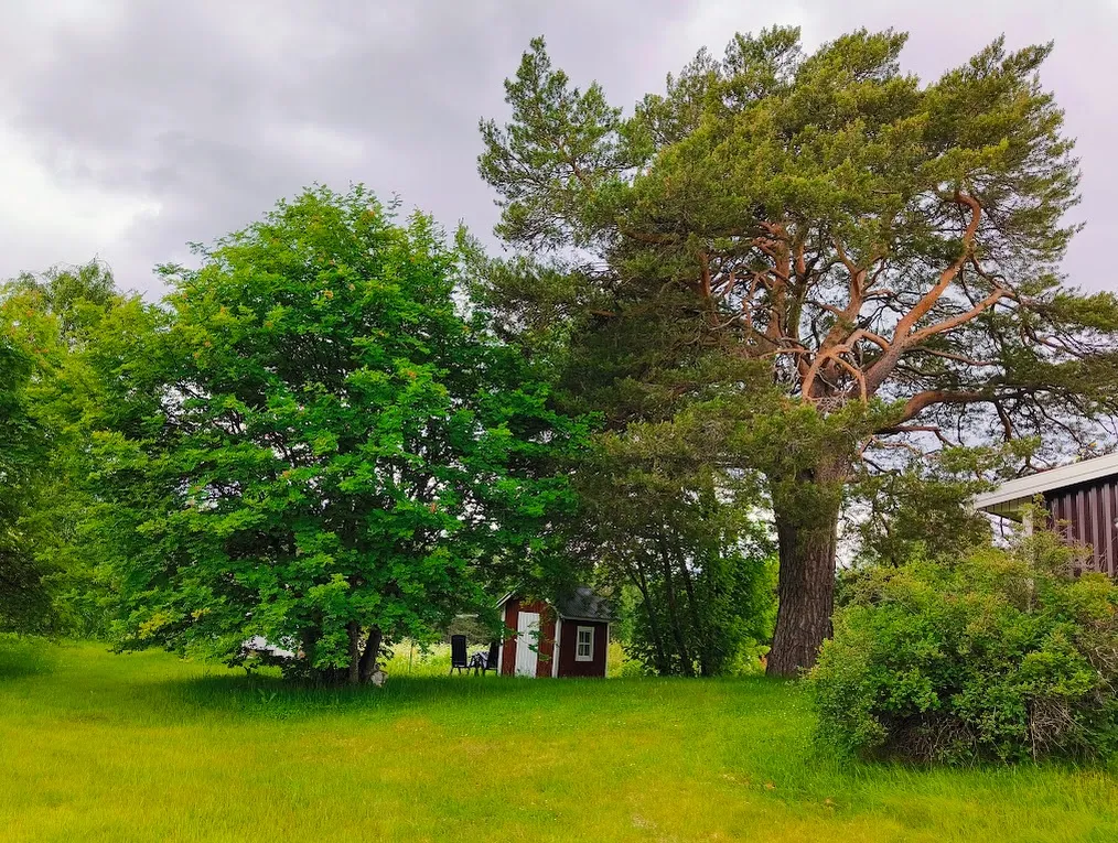 Hyresbostad på Luleå i lulea