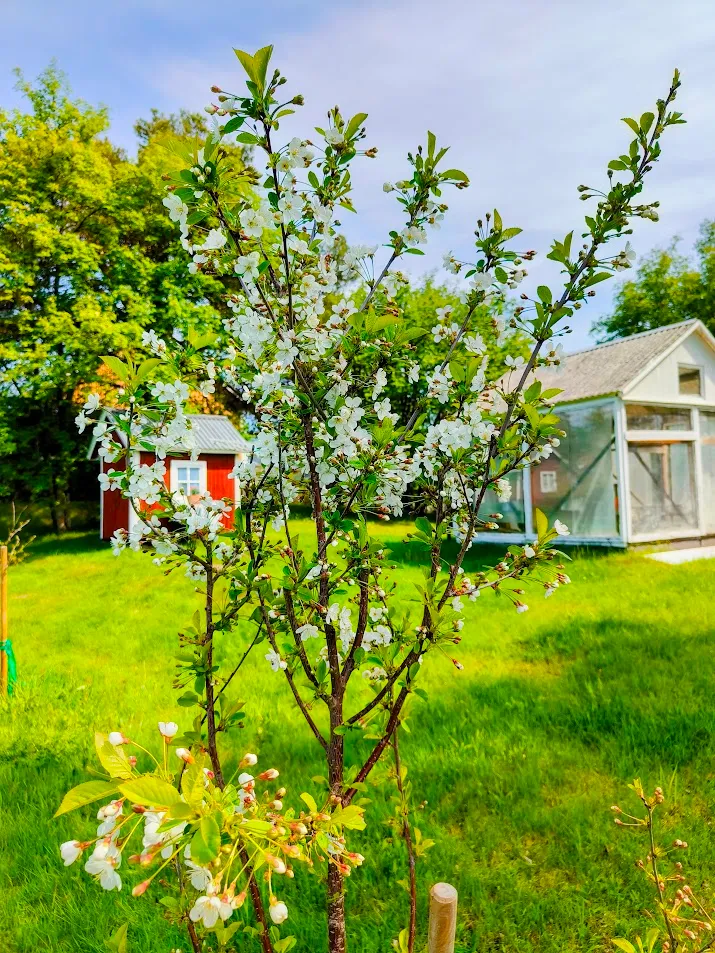 Hyresbostad på Luleå i lulea