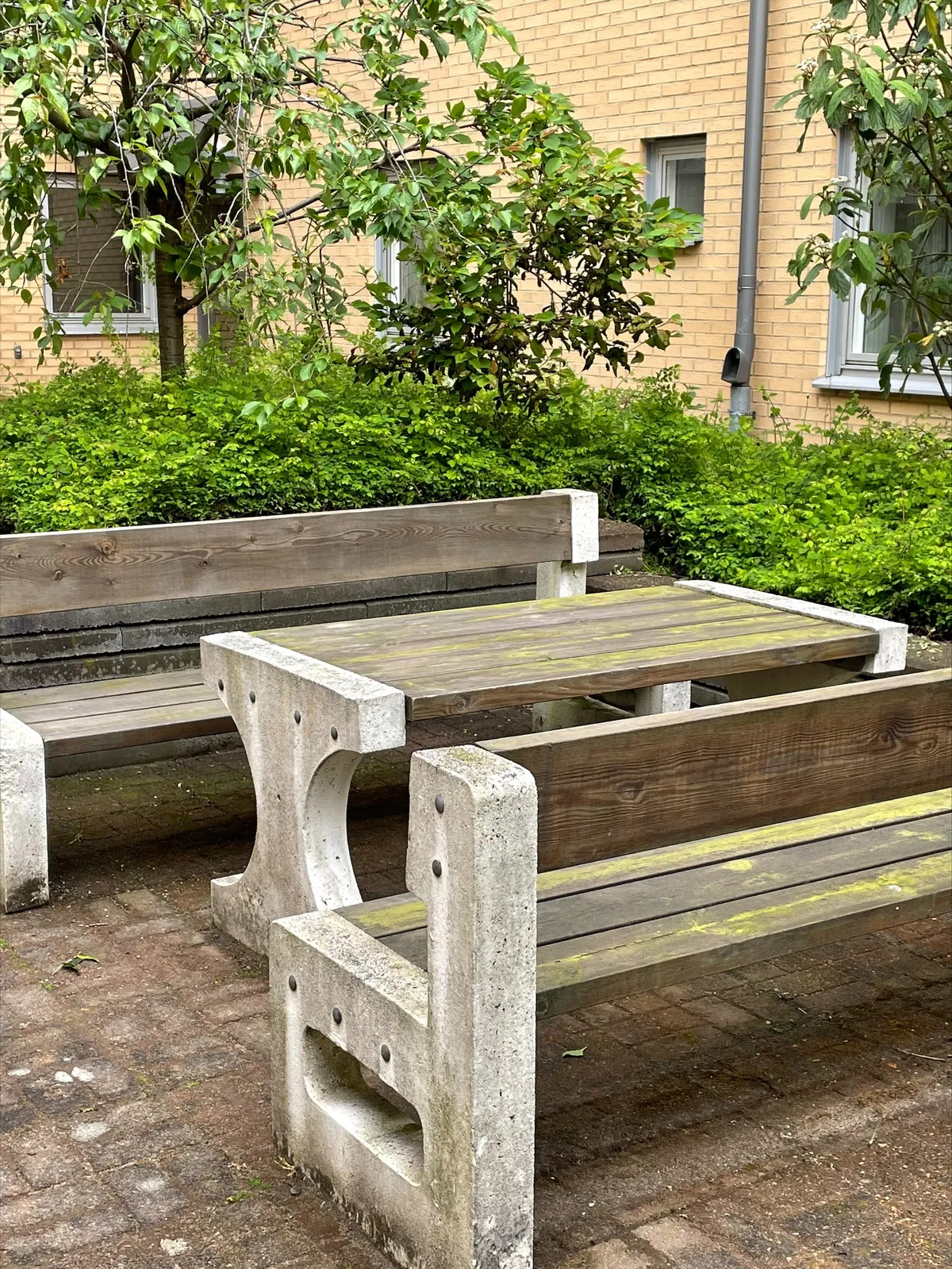 Hyreslägenhet på Halmstad i halmstad