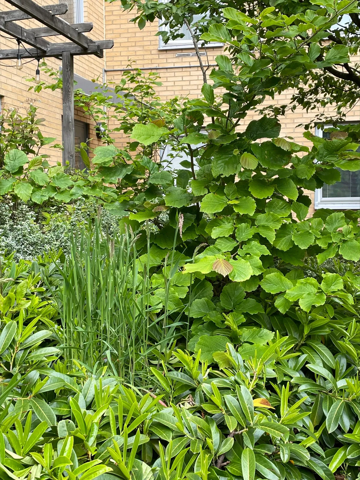 Hyreslägenhet på Halmstad i halmstad