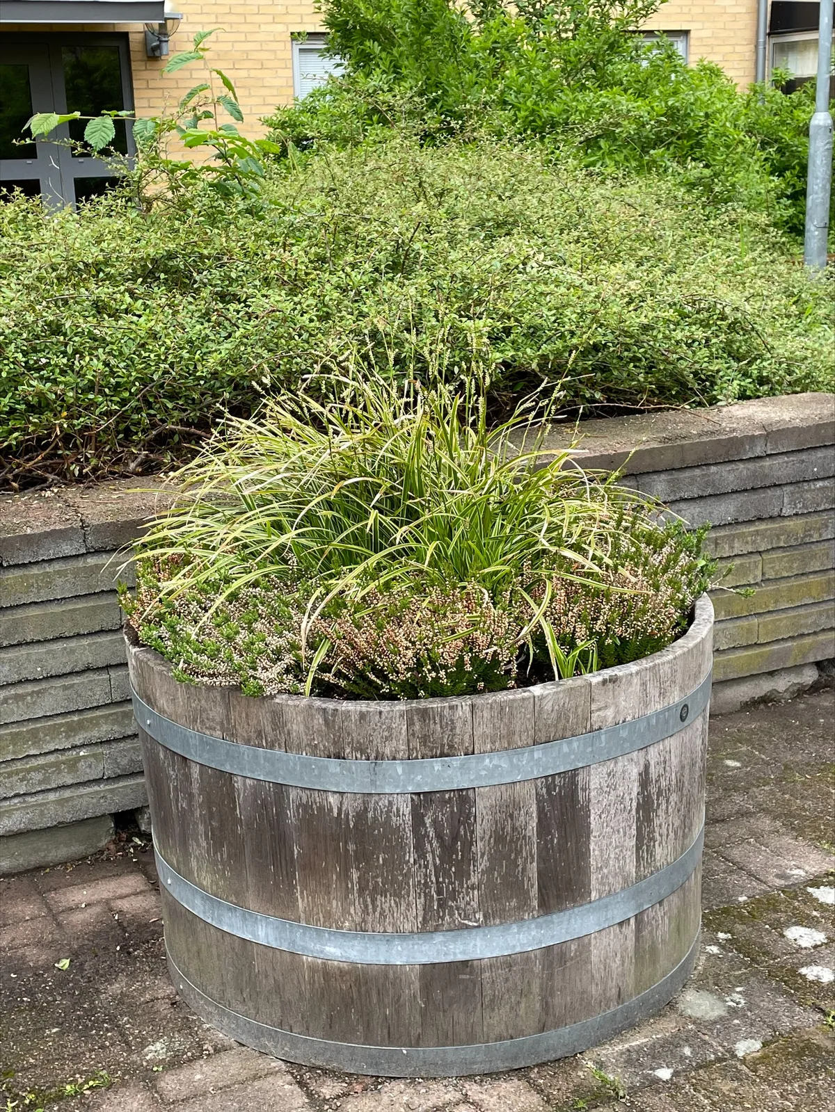 Hyreslägenhet på Halmstad i halmstad