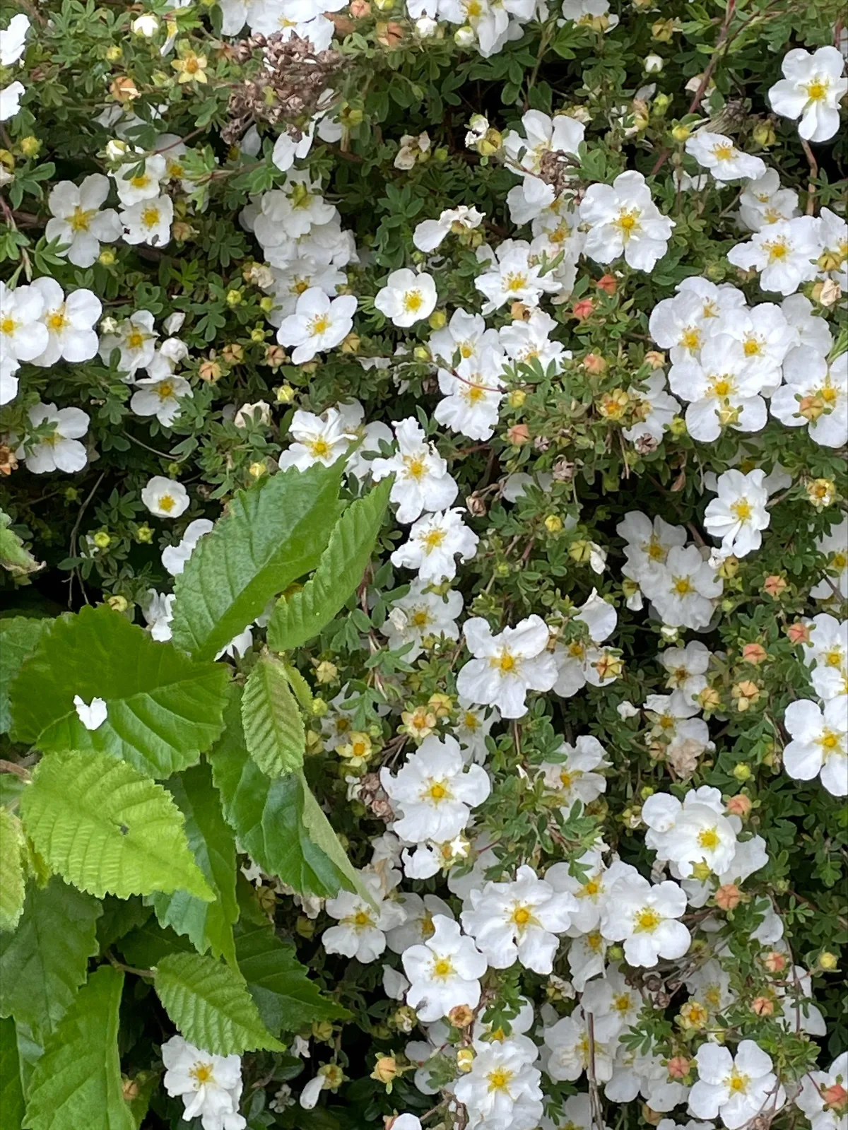 Hyreslägenhet på Halmstad i halmstad