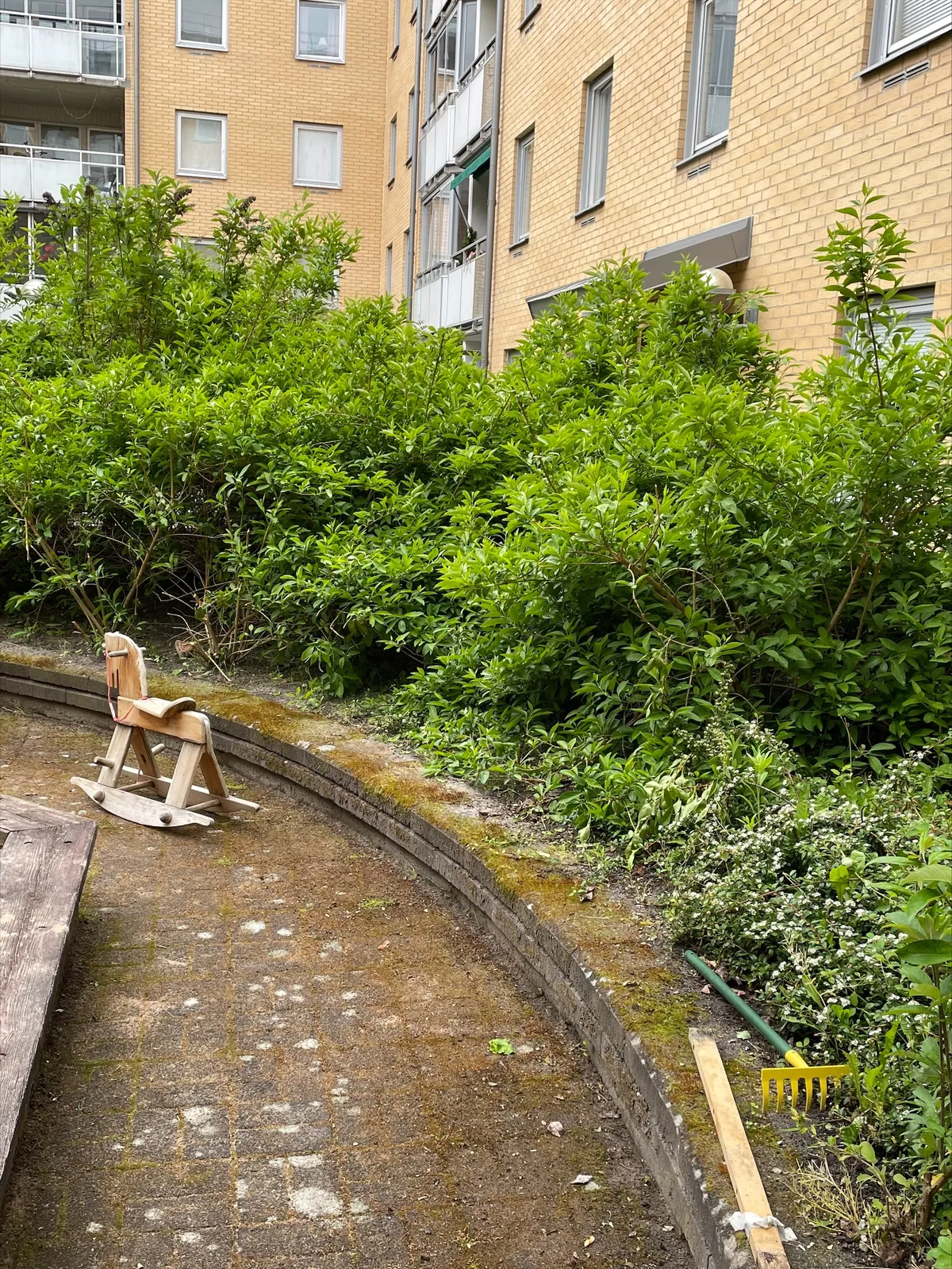 Hyreslägenhet på Halmstad i halmstad