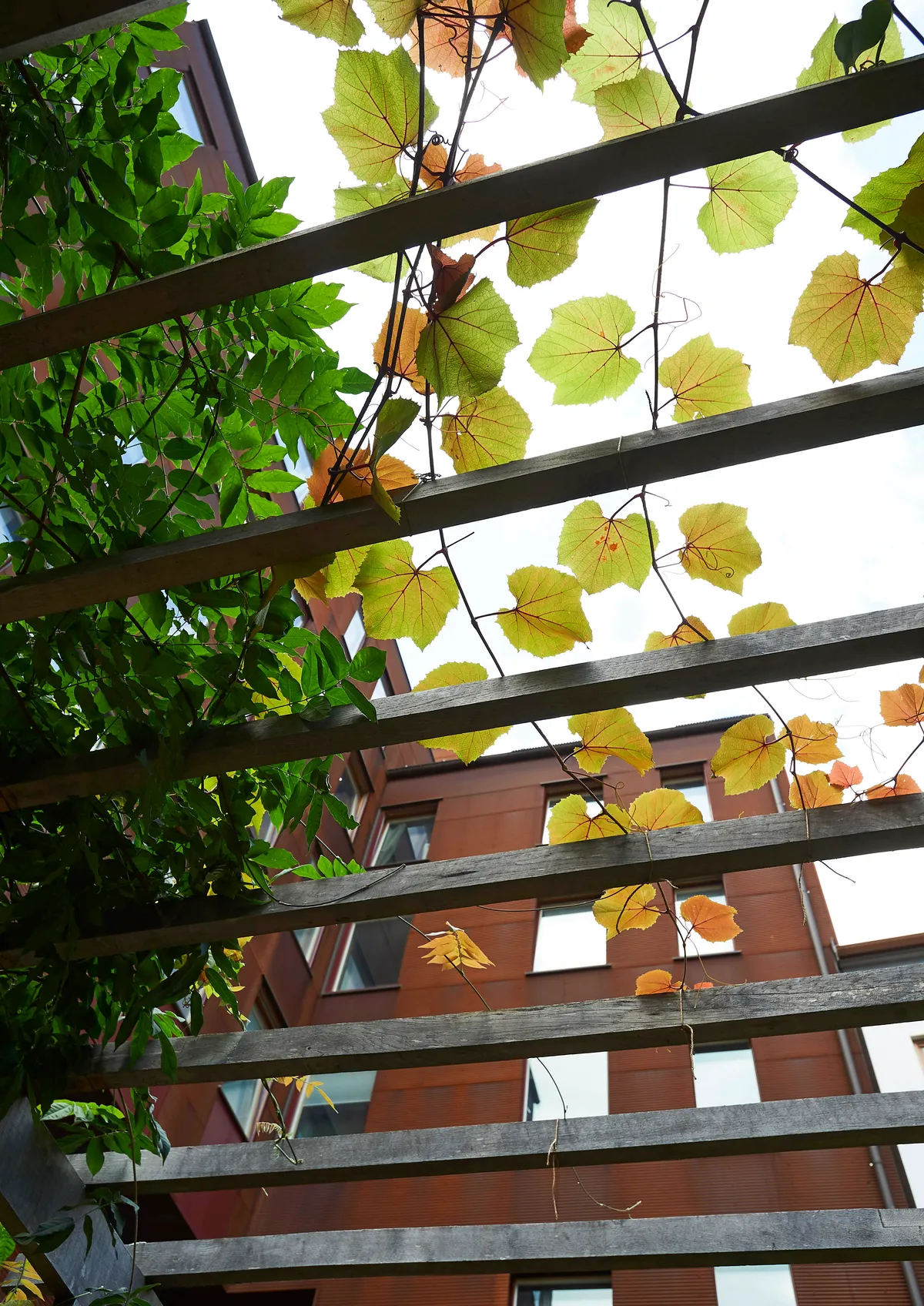 Hyreslägenhet på Malmö i malmo