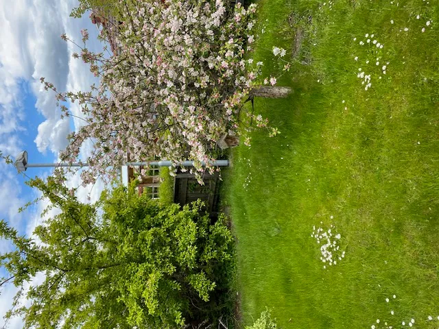 Hyresbostad på Linköping i linkoping