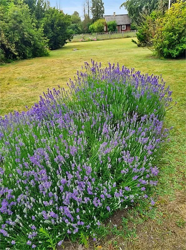 Hyresbostad på Bromölla i bromolla