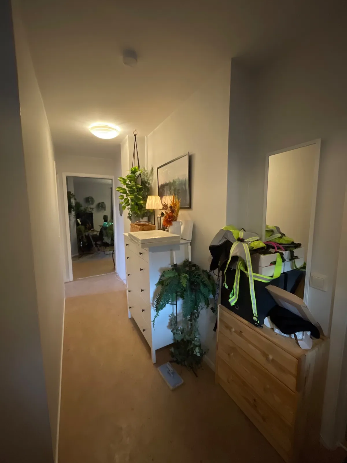 Hyreslägenhet på Tierp i tierp