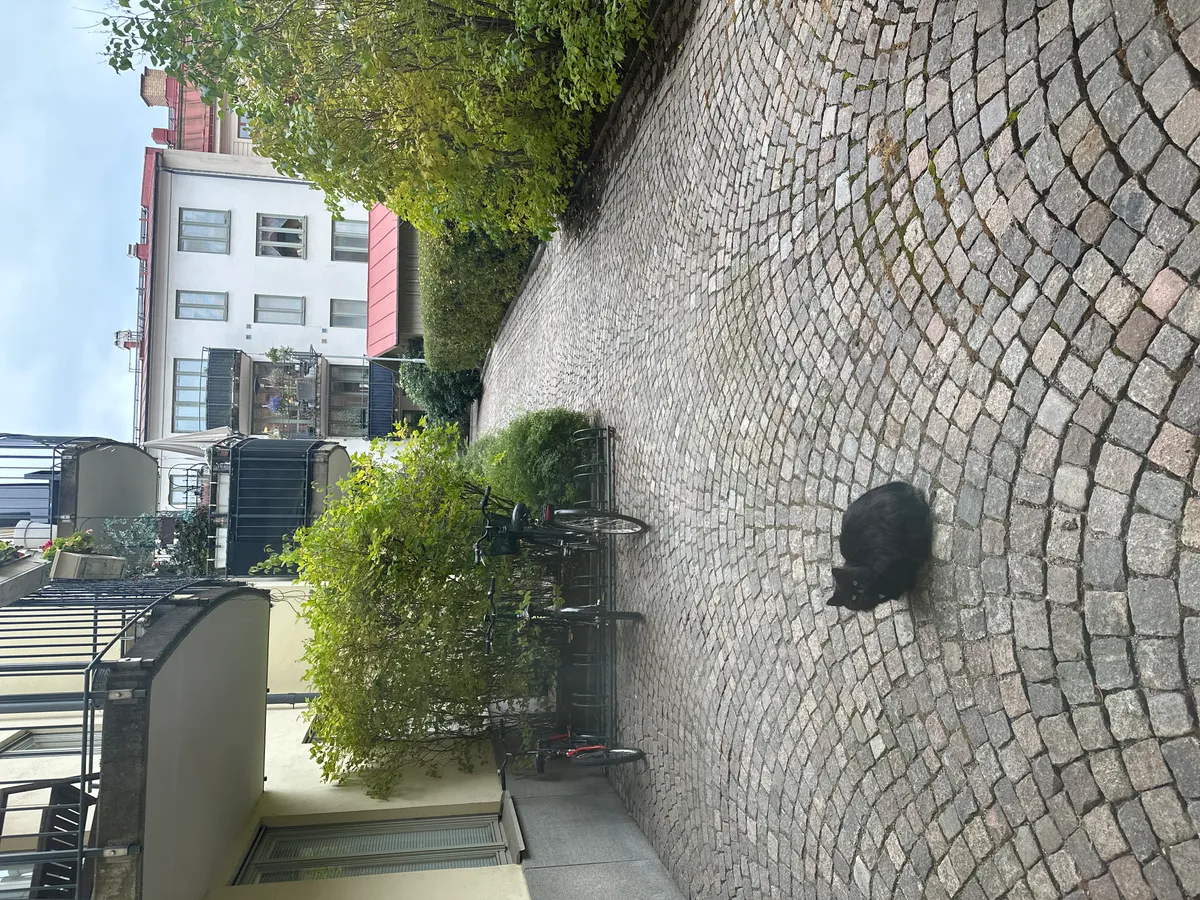 Hyreslägenhet på Göteborg i goteborg