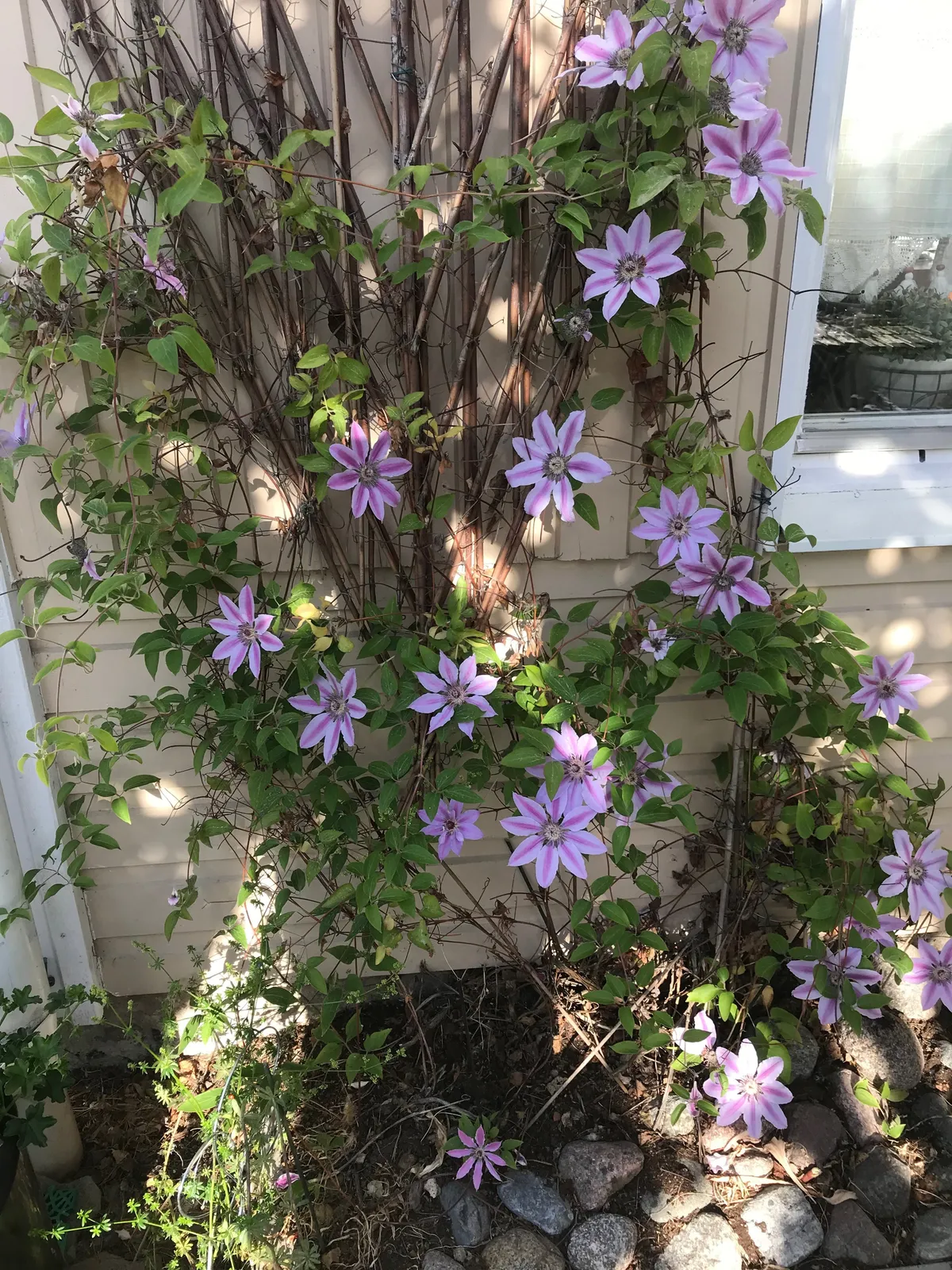 Hyresbostad på Uppsala i uppsala