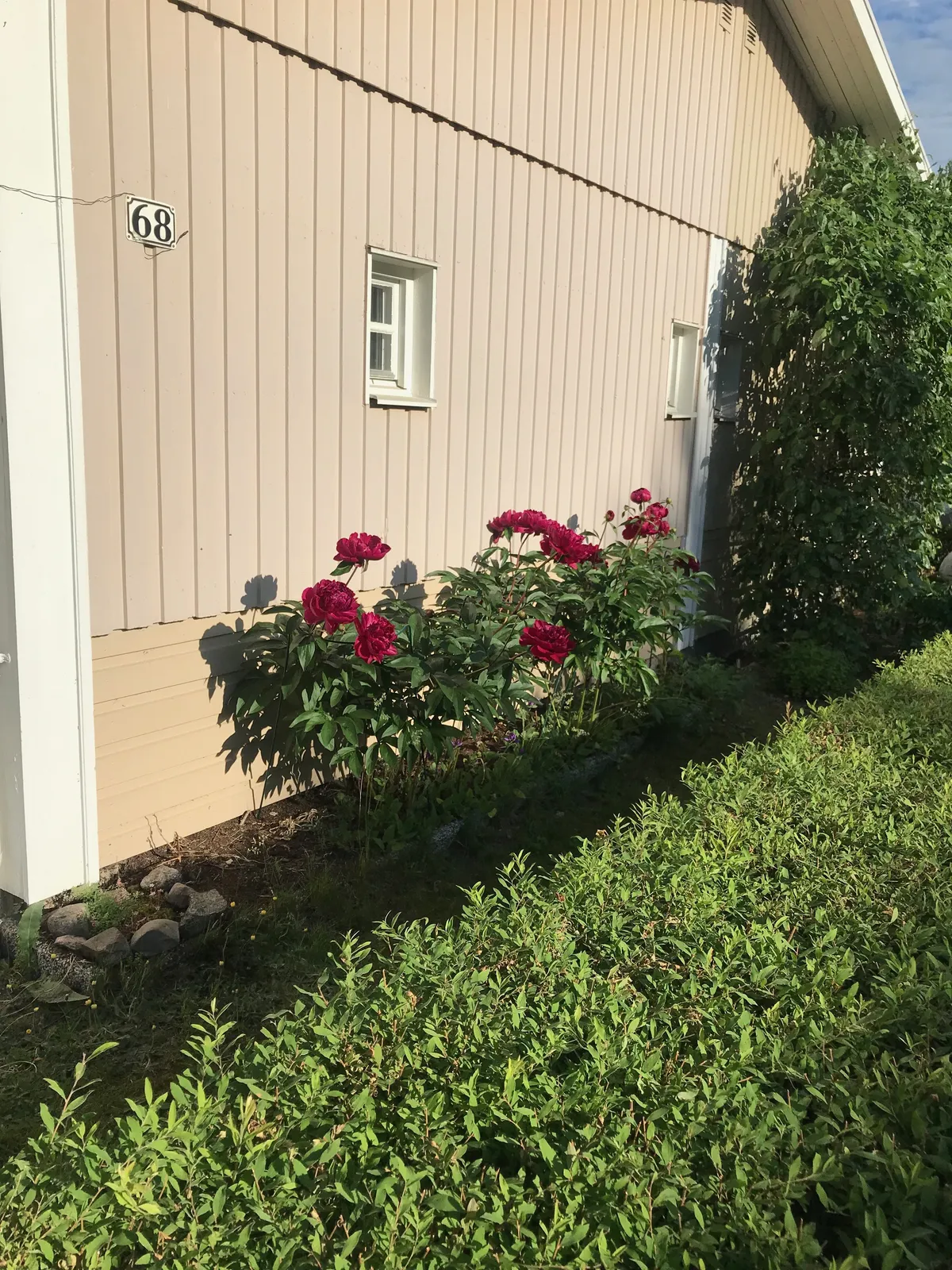 Hyresbostad på Uppsala i uppsala