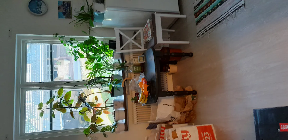 Hyreslägenhet på Borås i boras