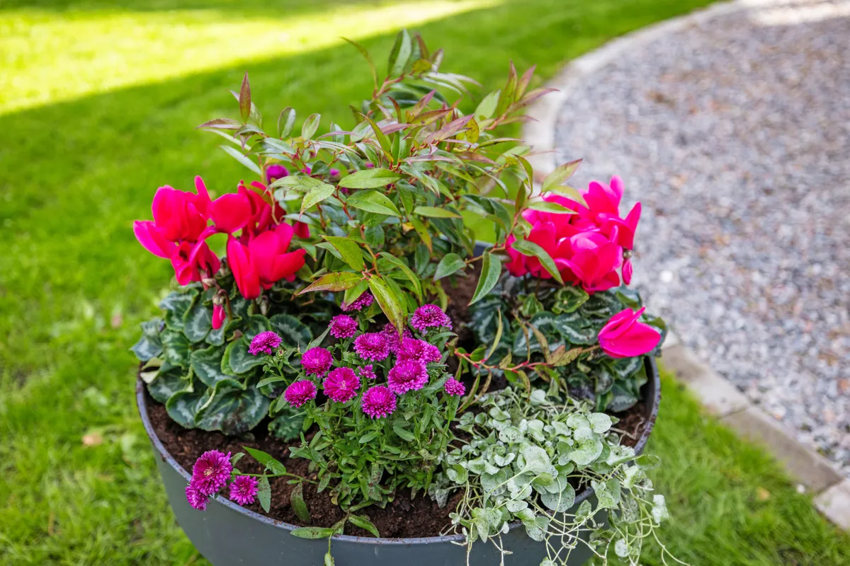 Hyresbostad på Vendelsö i vendelso