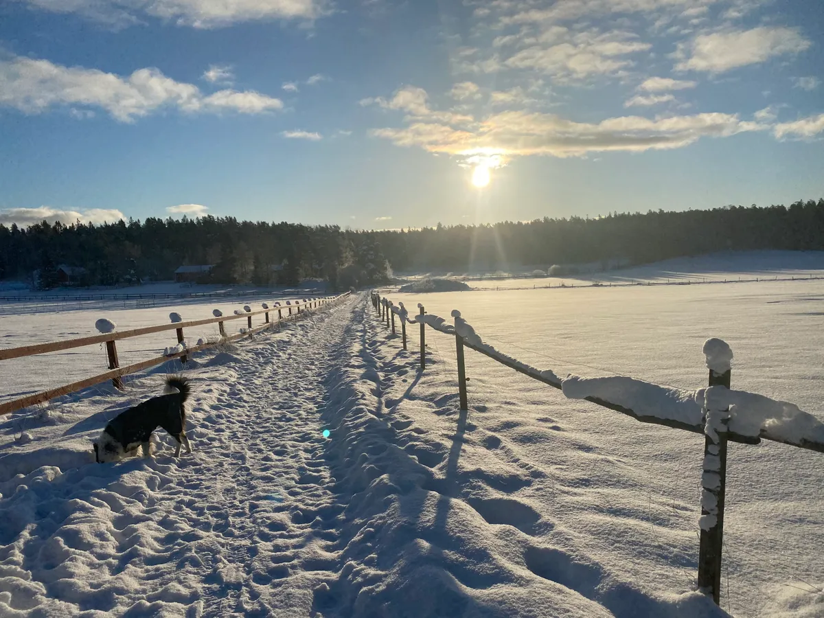 Hyresbostad på Vendelsö i vendelso