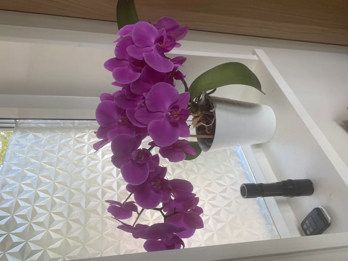 Hyresbostad på Vendelsö i vendelso