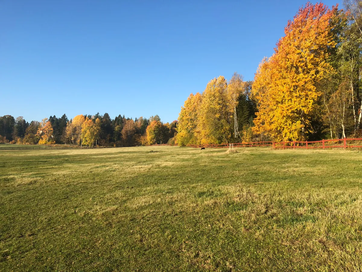 Hyresbostad på Vendelsö i vendelso