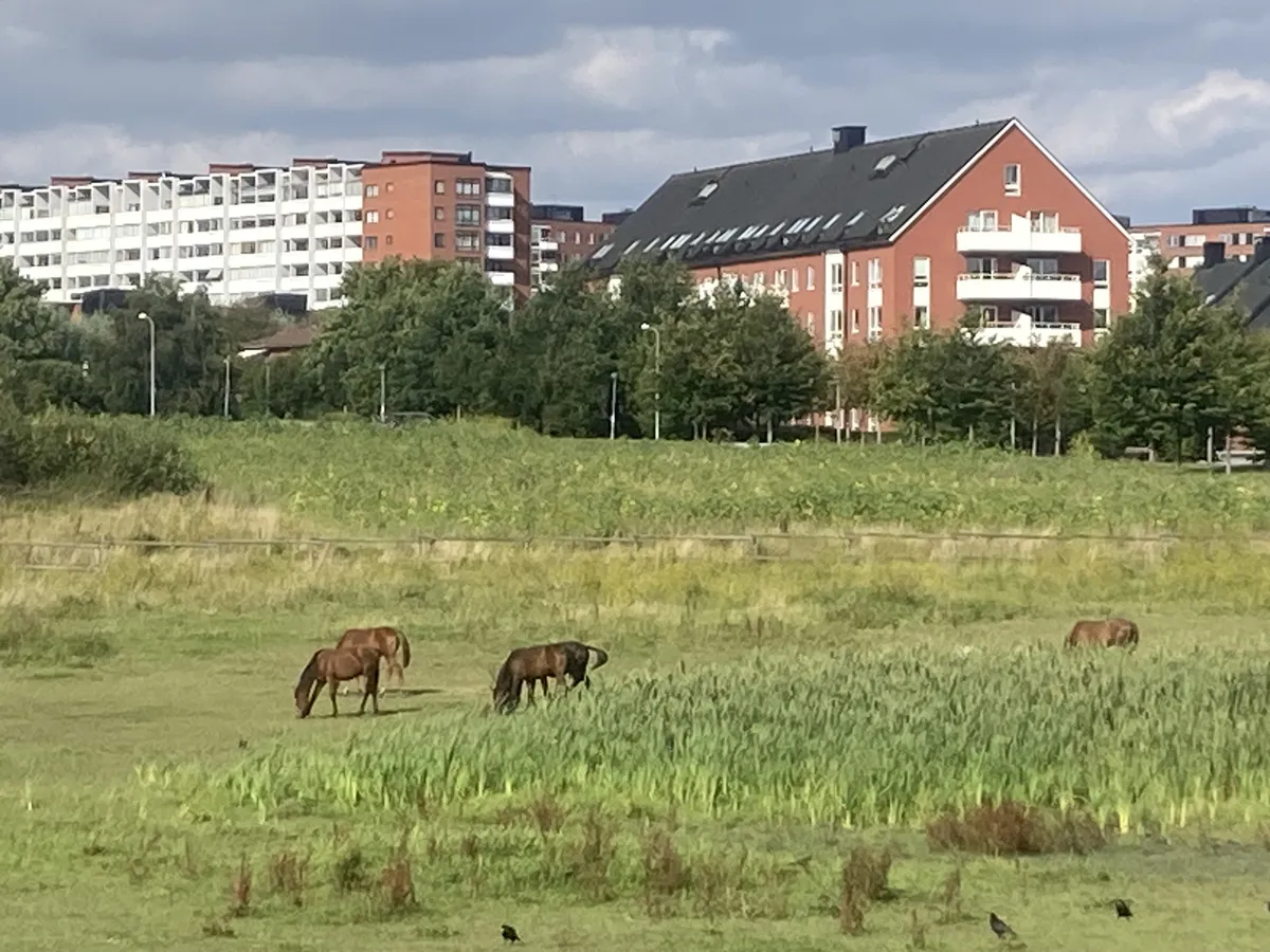 Hyreslägenhet på Lund i lund