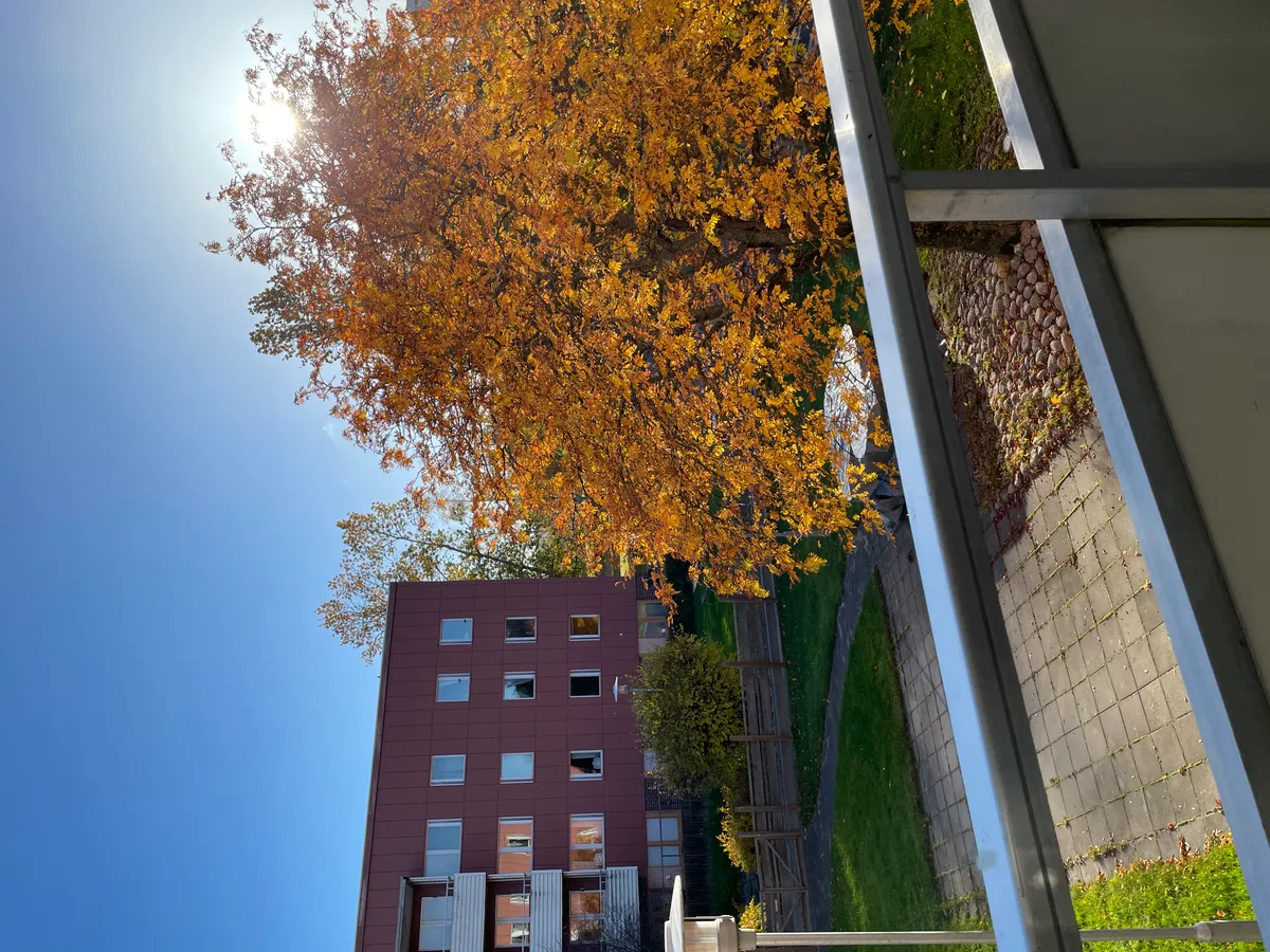 Hyreslägenhet på Sundsvall i sundsvall