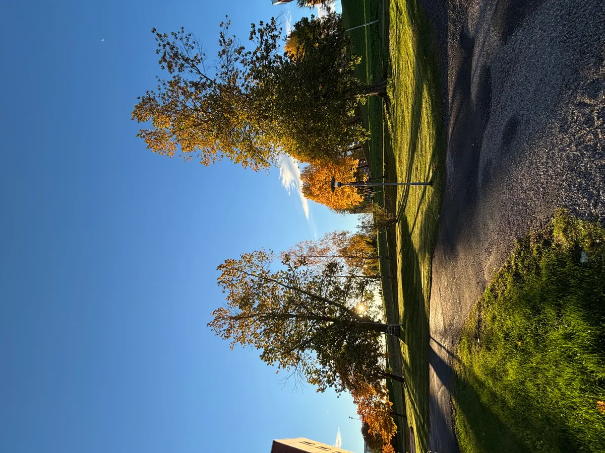 Hyreslägenhet på Sundsvall i sundsvall