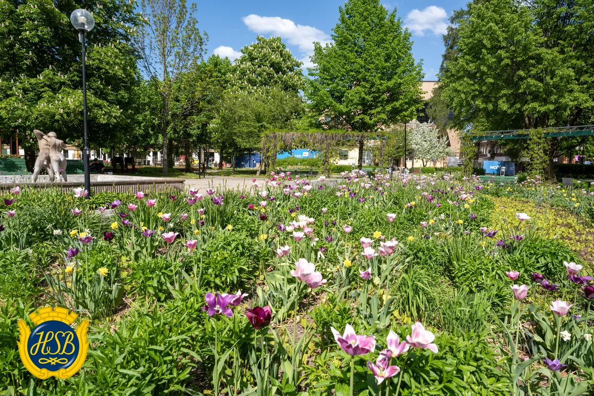 Hyreslägenhet på Borlänge i borlange