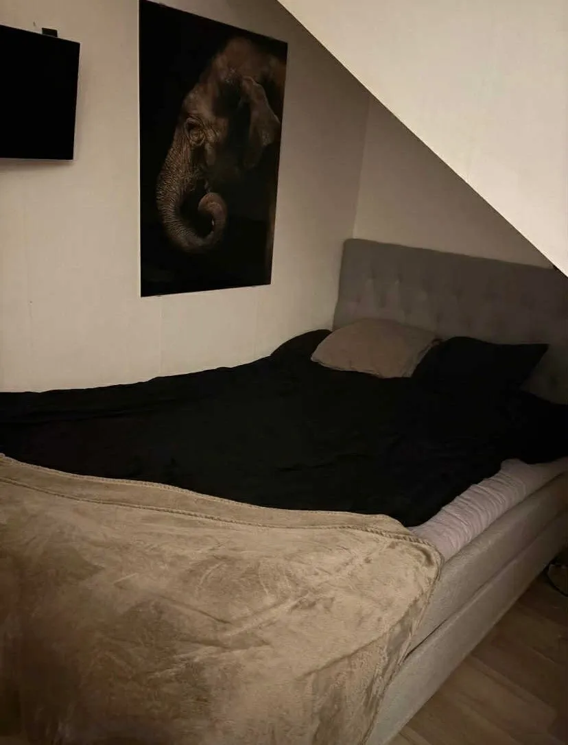 Hyreslägenhet på Borås i boras