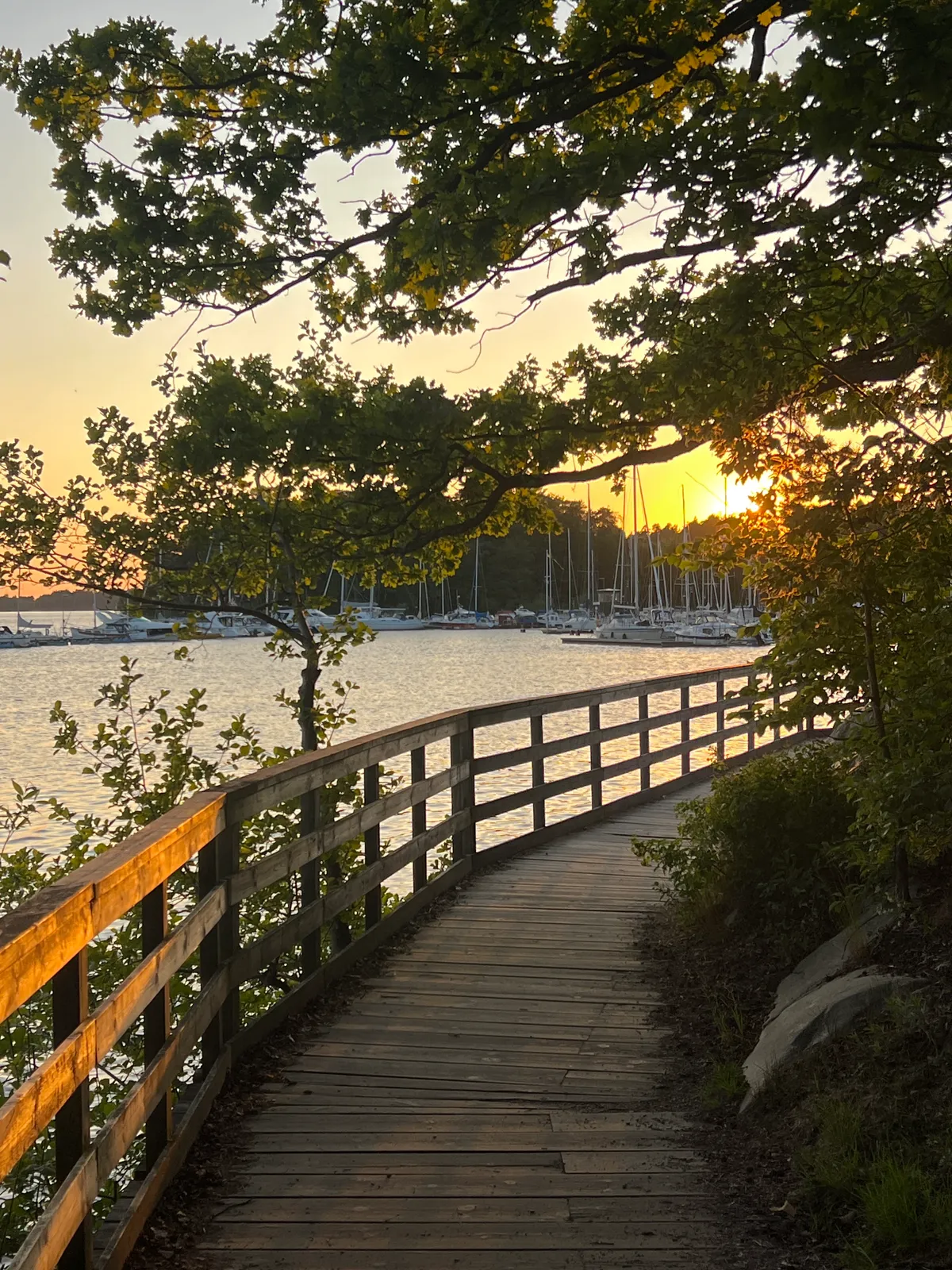 Hyreslägenhet på Bromma i bromma