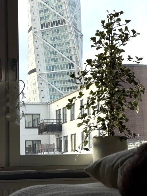 Hyreslägenhet på Malmö i malmo