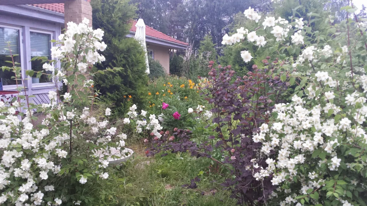 Hyresbostad på Umeå i umea