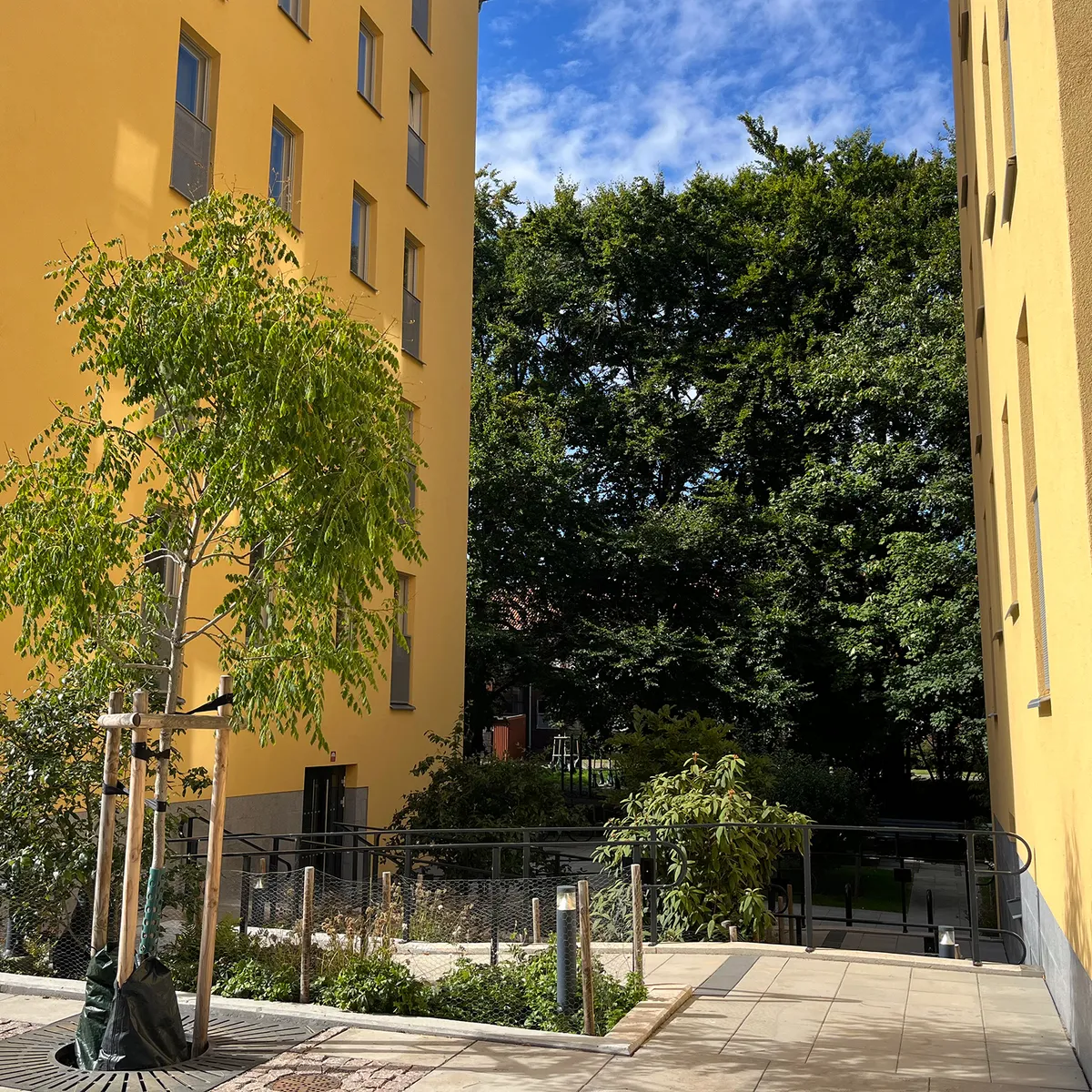 Hyreslägenhet på Malmö i malmo