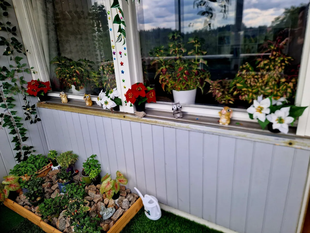 Hyreslägenhet på Borås i boras