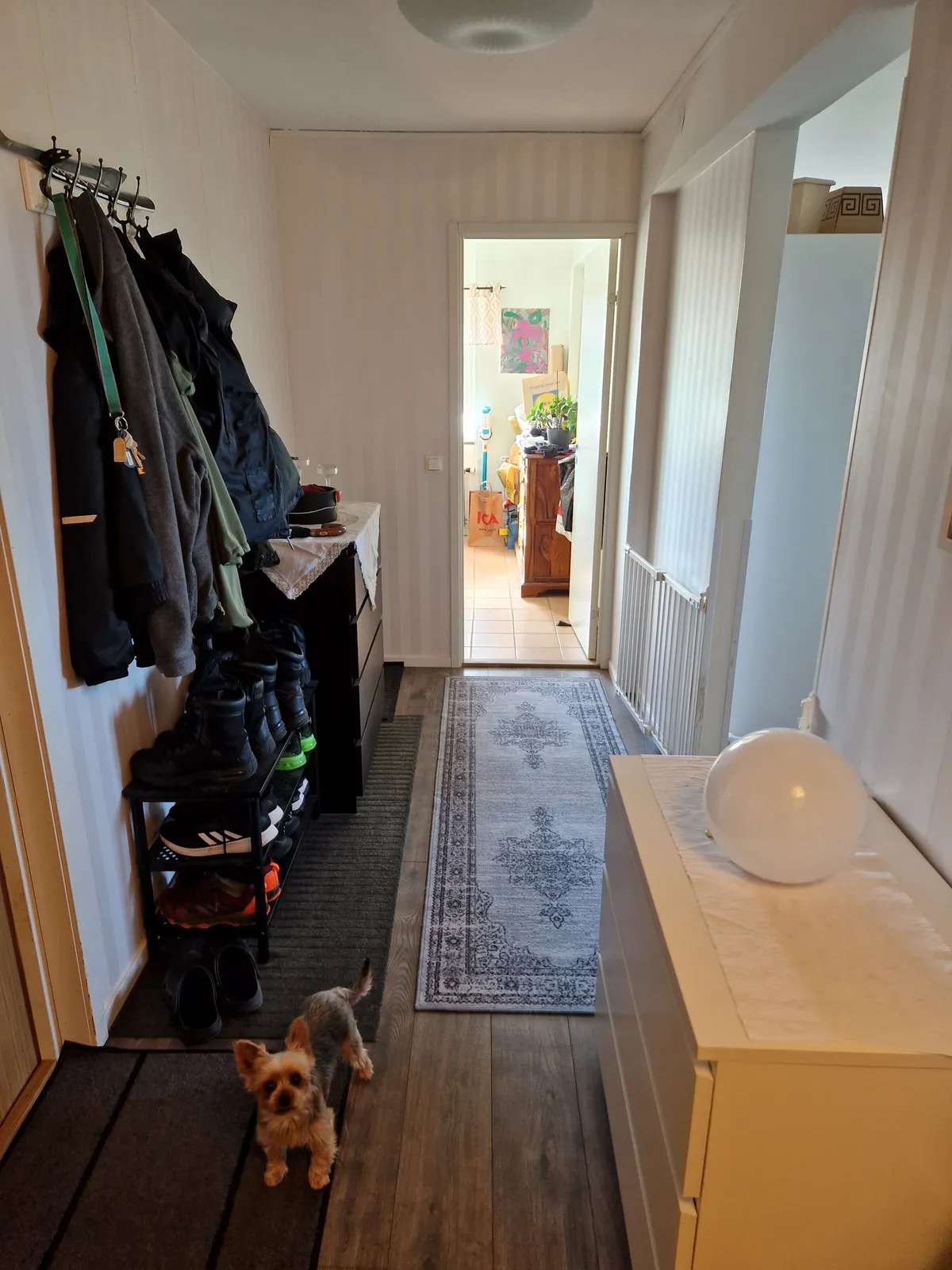 Hyresbostad på Göteborg i goteborg