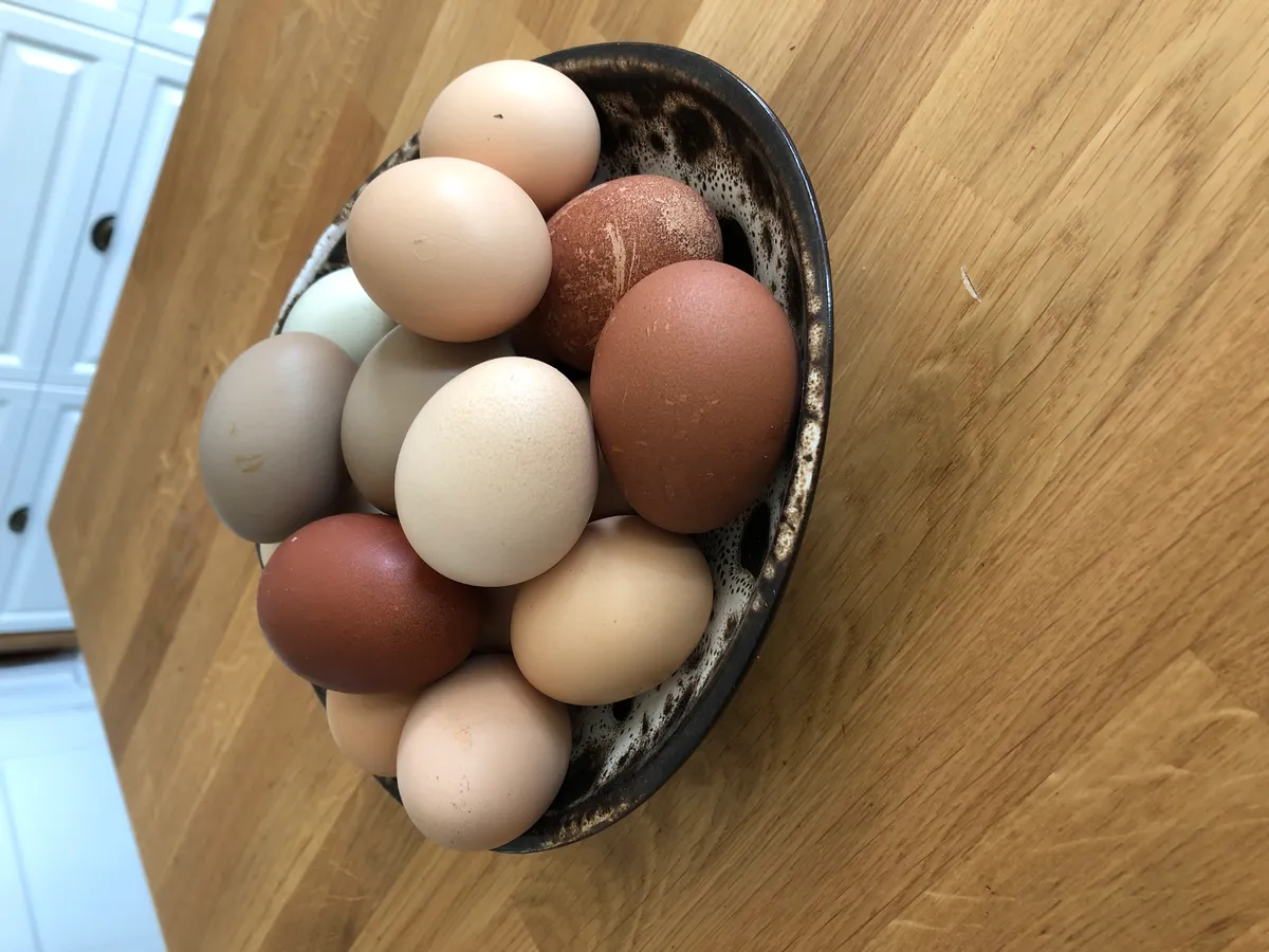 Hyresbostad på Uppsala i uppsala