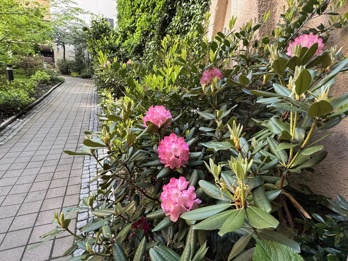 Hyreslägenhet på Göteborg i goteborg