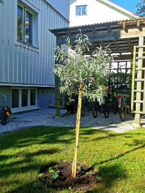 Hyresbostad på Göteborg i goteborg