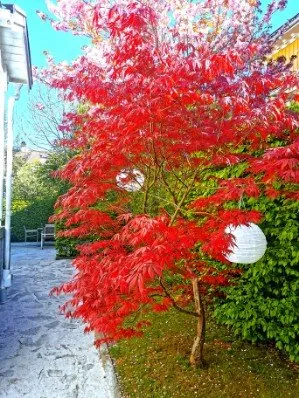 Hyresbostad på Göteborg i goteborg