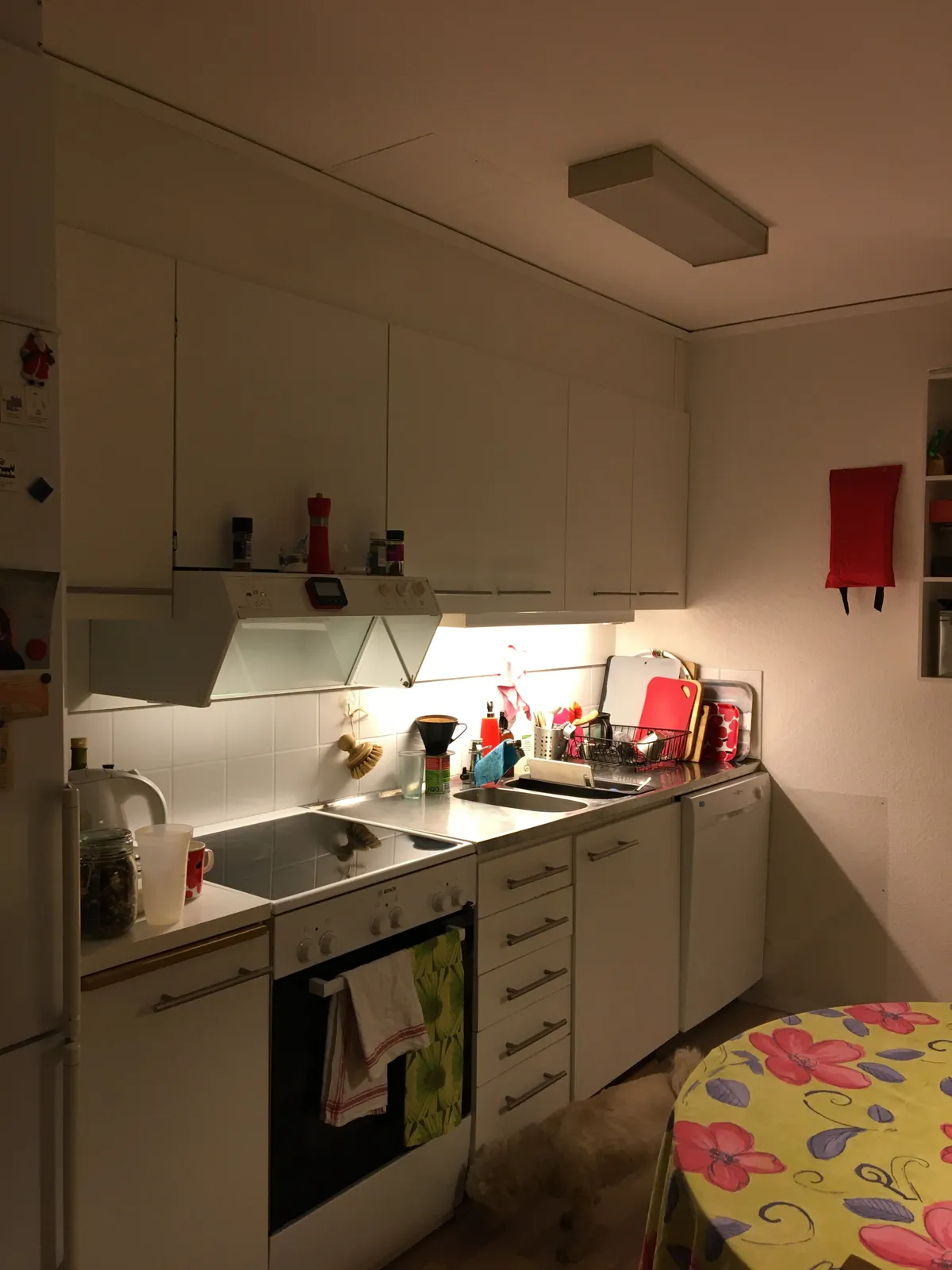 Hyreslägenhet på Umeå i umea