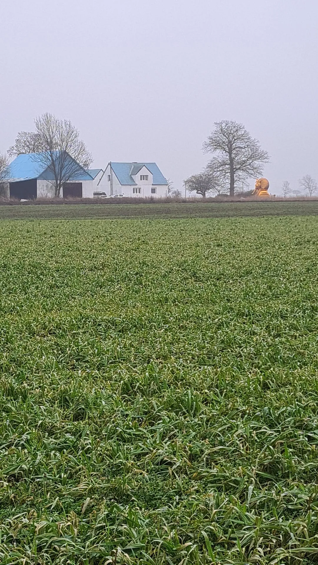 Hyresbostad på Tomelilla i tomelilla