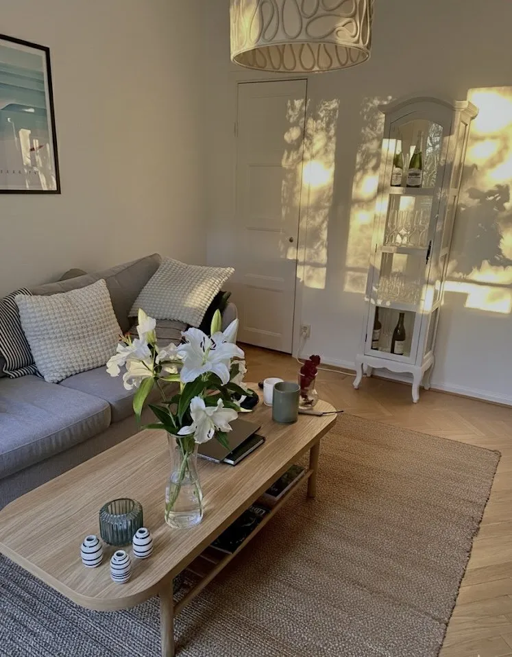 Hyreslägenhet på Göteborg i goteborg