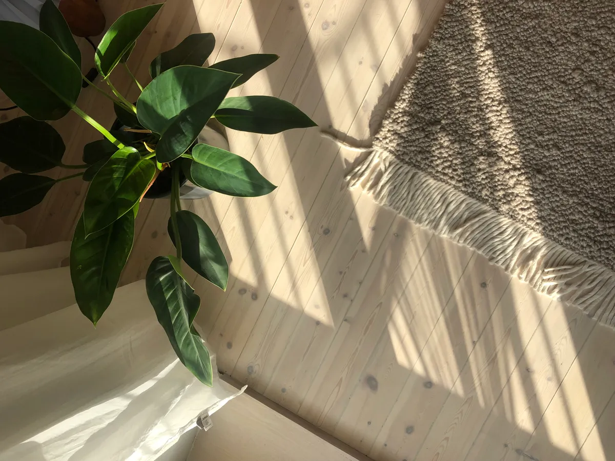 Hyreslägenhet på Solna i solna