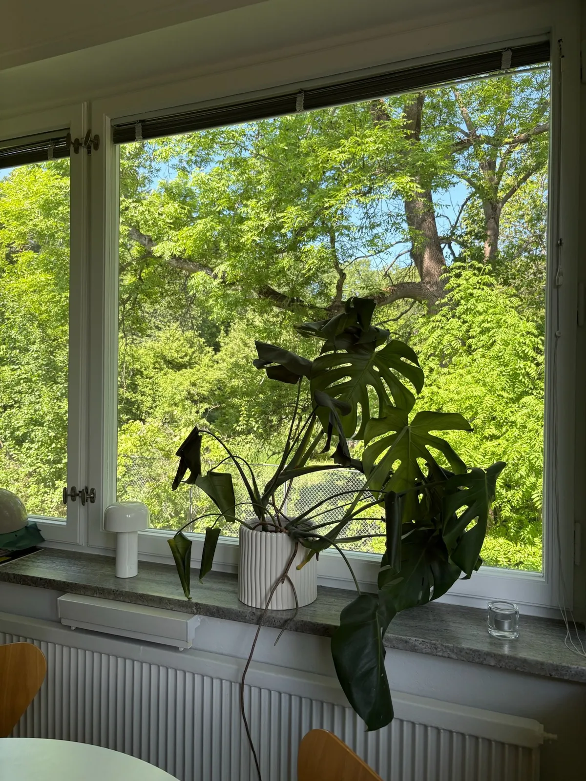 Hyreslägenhet på Bromma i bromma