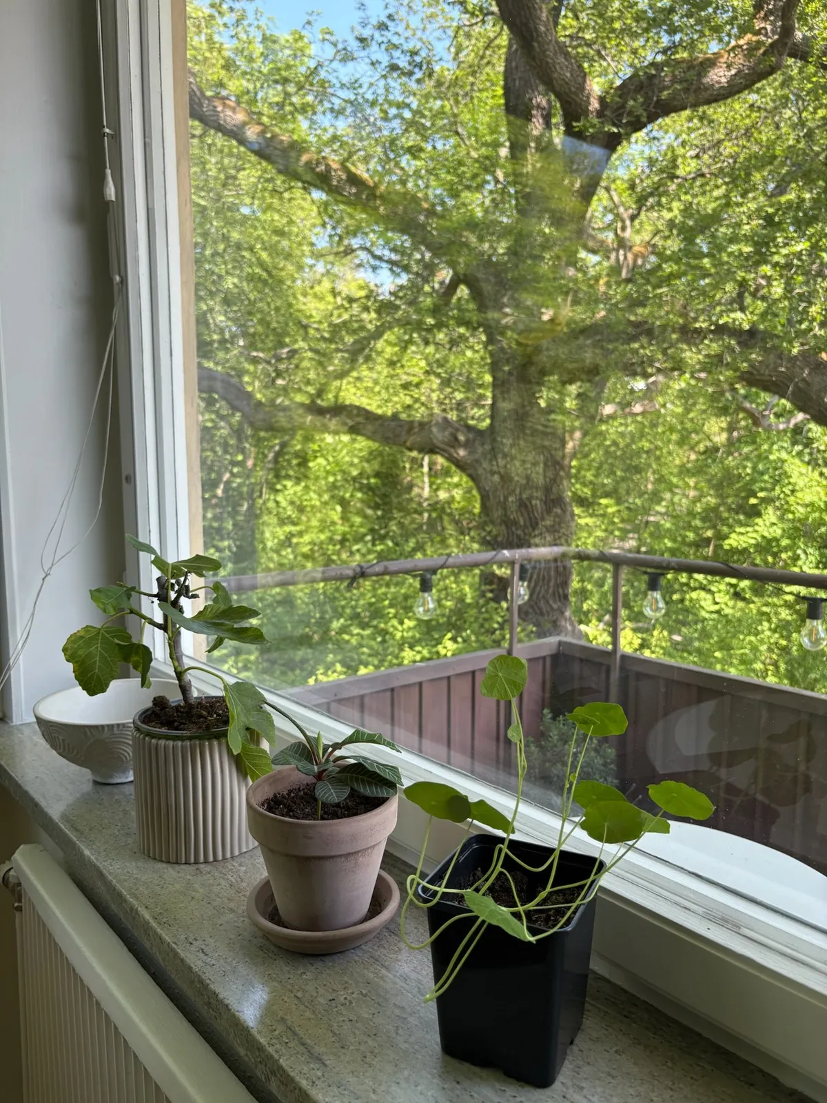 Hyreslägenhet på Bromma i bromma