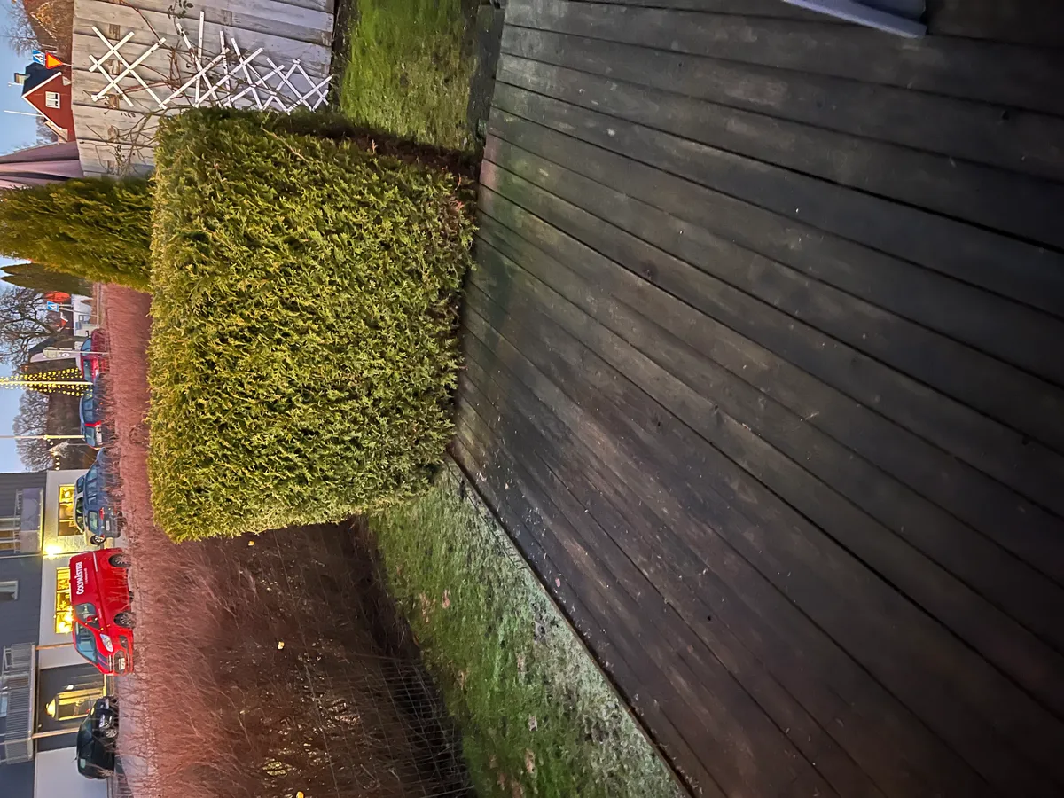 Hyreslägenhet på Vänersborg i vanersborg