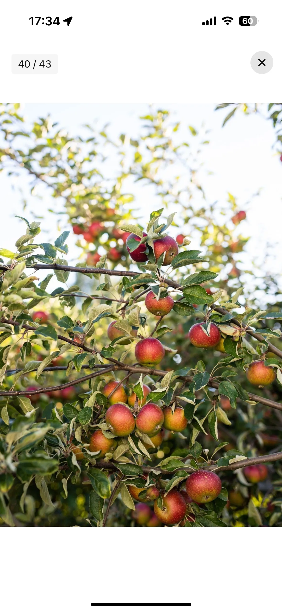 Hyresbostad på Karlskoga i karlskoga