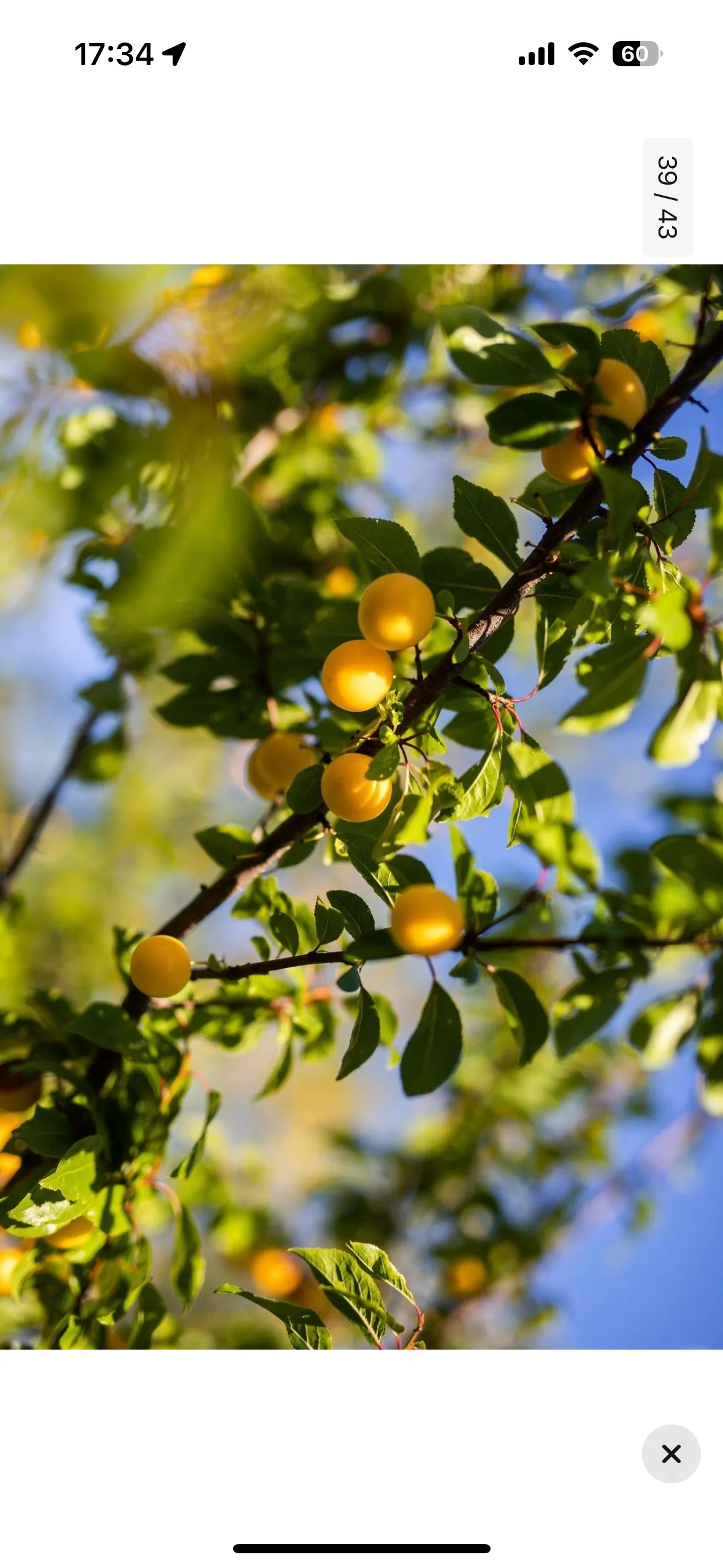 Hyresbostad på Karlskoga i karlskoga
